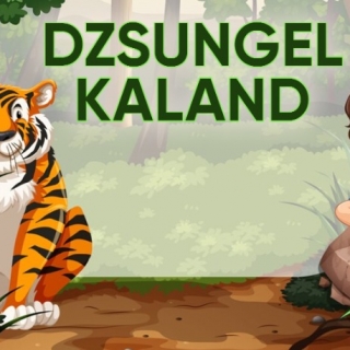 DZSUNGELKALAND